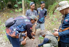 TNKS Pastikan Lokasi Warga Tewas di Musi Rawas Masuk Habitat Harimau Sumatera