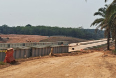 Dukung Proyek Tol Betung Jambi, Petani Muba Minta Jalan Produksi dan Akses Kebun Diperhatikan