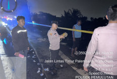 Dugaan Korsleting Listrik Picu Kebakaran 9 Rumah di Ogan Ilir, Polisi Libatkan Labfor Ungkap Penyebab