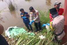 Misteri 'Mr X' di Sawah Simpang Meritai Terungkap: Ternyata Lansia Plaju yang Hilang 4 Hari