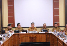 DPRD Muba Dorong Terobosan Baru, Satgas PAD Diminta Maksimalkan Potensi Daerah