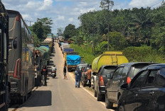 Jalintim Palembang–Jambi Padat Merayap Jelang Nataru, Pengendara Harapkan Tol Segera Tersambung