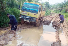 Empat Bulan Terisolir, Warga Sindang Laya dan Mukti Karya Desak Solusi Darurat Akses Jalan di Muara Lakitan