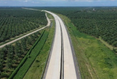 Tol Jambi–Rengat I Masuk Tahap Awal, 4 Kabupaten dan 21 Desa Resmi Masuk Peta Pembangunan