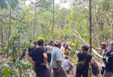 Warga Temukan Tengkorak dan Tulang Diduga Kerangka Manusia di Semak Belukar Bayung Lencir