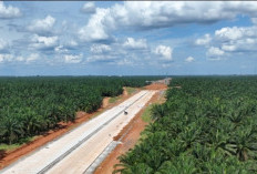 61 Tahun Menanti Tol Palembang–Jambi, Harapan Warga Akhirnya Mendekati Kenyataan