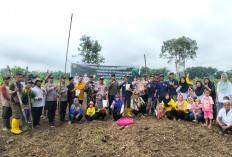 Optimalkan Lahan 1.3 Hektare, Desa Ngulak II Jalankan Program Ketahanan Pangan Melalui Penanaman Jagung