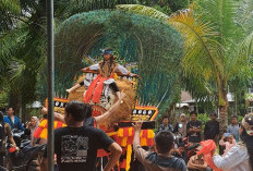 Desa Pinang Banjar Resmikan Kesenian Reog Ponorogo, Kades Ungkap Jadi Momen Bersejarah dan Pemersatu Warga