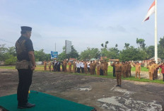 Peringati Hari Desa Nasional, Desa di Kecamatan Sungai Lilin Gelar Apel Bersama 
