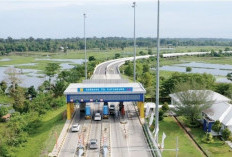 Libur Panjang Picu Lonjakan Arus Kendaraan di Tol Trans Sumatera Meski Diguyur Hujan