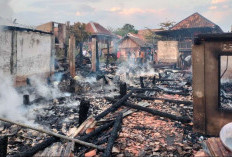 Kebakaran Hebat Hanguskan Enam Rumah di Desa Teluk Muba, Kerugian Ditaksir Capai Rp2 Miliar