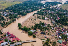 Korban Meninggal Banjir Bandang dan Longsor di Sumatera Tembus 914 Jiwa, Pencarian Terus Dimaksimalkan