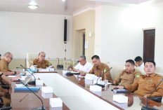 Pemkab Muba Perkuat Dukungan Program Lisdes, Pemerataan Listrik Desa Dipercepat