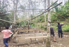 Arena Sabung Ayam Dibongkar Meski Kosong, Polisi Kirim Pesan Tegas ke Pelaku Judi