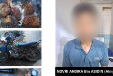 Kepergok Curi Sawit di Lahan PT Hindoli, Pria Asal Betung Diamankan Polsek Sungai Lilin