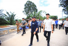 Gubernur Sumsel Resmikan Jembatan Tumpang Sari di PALI, Dorong Akses Ekonomi dan Pelayanan Masyarakat
