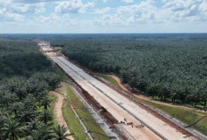 Tol Palembang–Jambi Ubah Wajah Perjalanan Sumatra, 8 Jam di Jalan Akan Jadi Sejarah