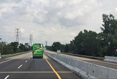 Mengenal Tol Palembang–Lampung, Urat Nadi Trans Sumatra, Percepat Mobilitas dari Bakauheni hingga Palembang