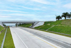 Tol Pekanbaru–Padang Belum Tersambung Penuh, Ini Progres Terbaru dan Target Penyelesaian 2026