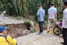 Jembatan Penghubung Antar Dusun di Desa Sukadamai Baru Ambruk, Pihak PU Langsung Tinjau Ke Lapangan  ​