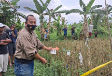 Geger! Mayat Perempuan Tanpa Identitas Ditemukan Membusuk di Pinggir Sawah Banyuasin