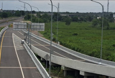 Sumsel Naik Kelas! Empat Jalan Tol Ubah Daerah Lintasan Jadi Magnet Investasi dan Industri