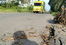 Akses Vital Sungai Lilin-Keluang Terancam Putus, Gorong-Gorong di Desa Pinang Banjar Ambles!  ​