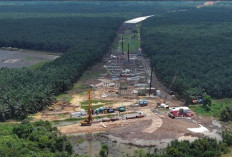 Tol Betung–Tempino–Jambi Dikebut, Berikut Progres dan Target Rampung Bertahap hingga 2027