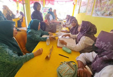 Desa Sukadamai Baru Jalani Penilaian Lomba Posyandu dan PHBS Tingkat Provinsi Sumsel