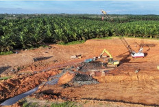 Tol Betung–Jambi Seksi 1B Digarap, Proyek Rp3,38 Triliun Ini Jadi Kunci Konektivitas Trans Sumatera