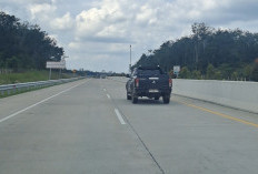 Palembang–Jambi Makin Dekat! Tol Betung–Tempino–Jambi Mulai Tersambung, Waktu Tempuh Dipangkas Drastis