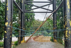 Dua Tahun Terputus, Warga Karang Agung Bertaruh Nyawa Seberangi Sungai Demi Ekonomi