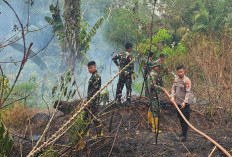 Gerak Cepat Tim Terpadu Padamkan Karhutla di Sungai Lilin Jaya, Api Tak Sampai Meluas